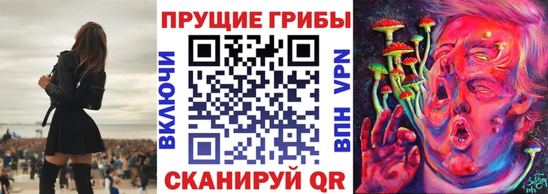 Купить где  Калач-на-Дону  Псилоцибиновые грибы GOLDEN TEACHER 